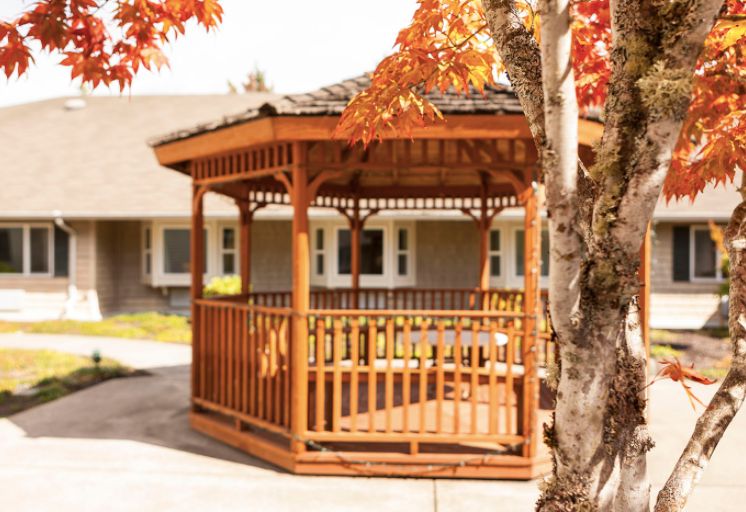 Avalon Care Center Federal Way Pricing, Photos and Floor Plans in Federal Way, WA Seniorly